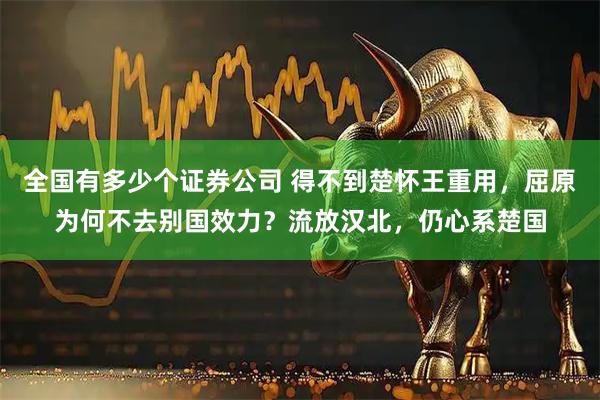 全国有多少个证券公司 得不到楚怀王重用，屈原为何不去别国效力？流放汉北，仍心系楚国