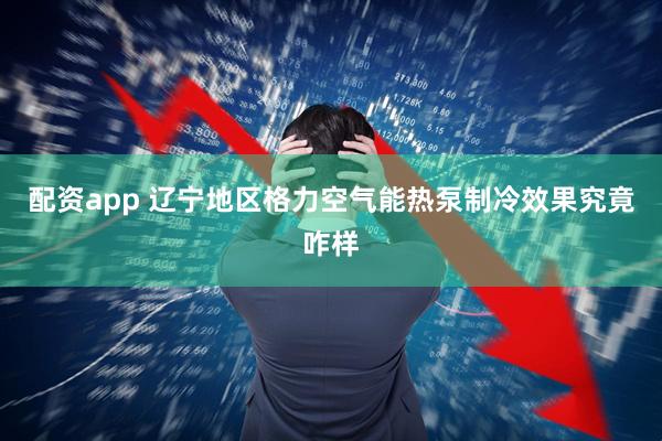 配资app 辽宁地区格力空气能热泵制冷效果究竟咋样